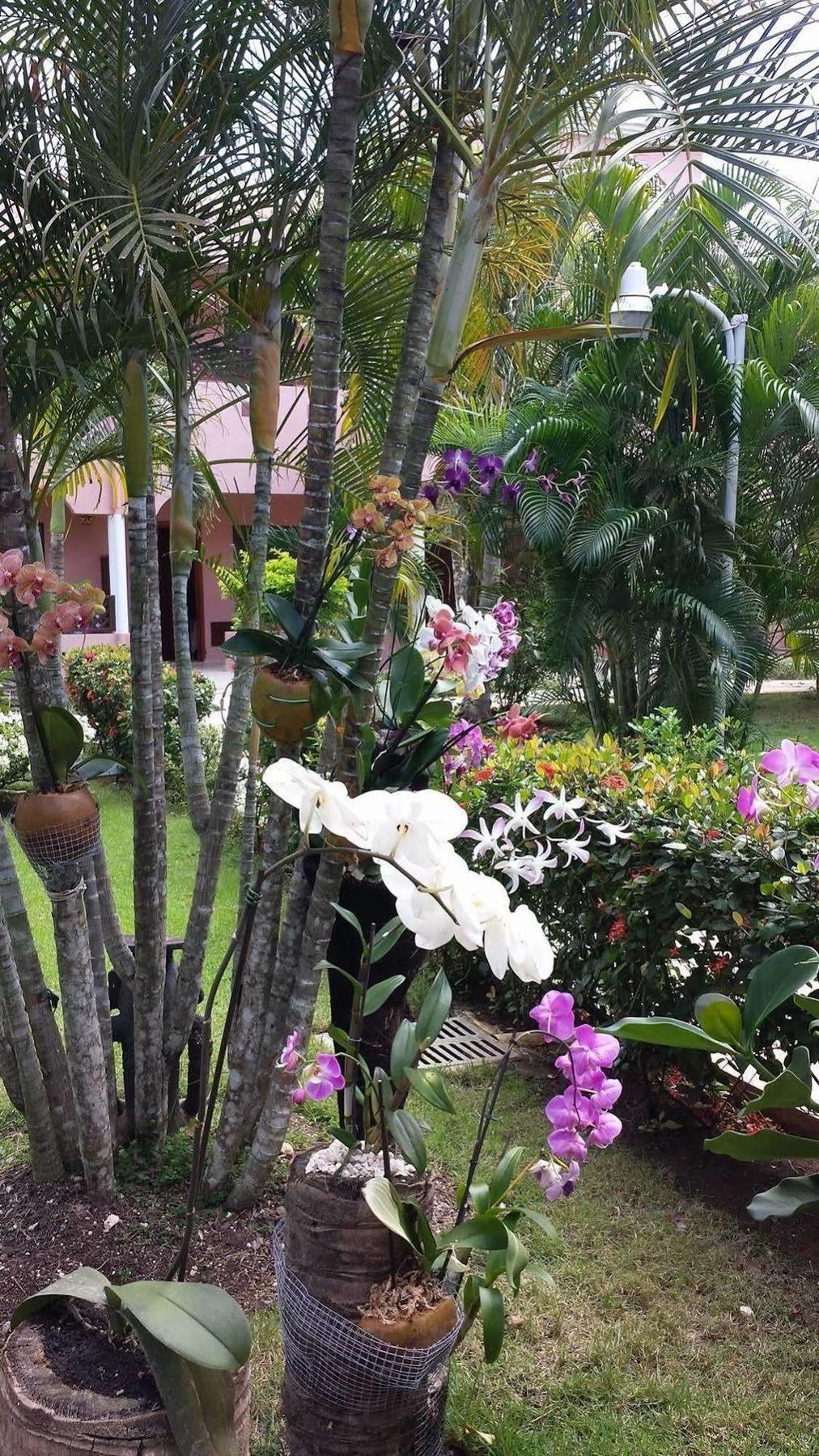 Soficu Hotel El Eden Dominicus Bayahibe Eksteriør bilde